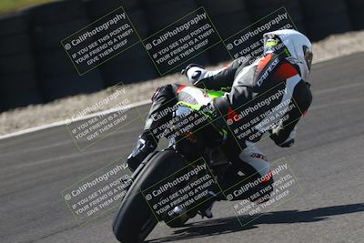 media/Sep-21-2025-TrackDaz (Sun) [[277c75b276]]/B Group/220pm (Turn 6)/